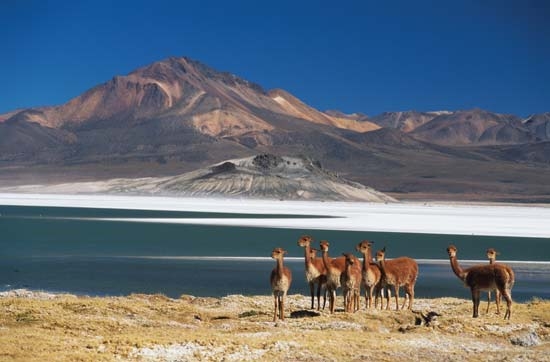 Atacama Desert.jpg