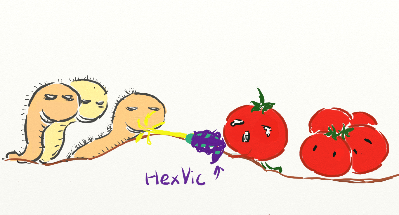 tomato2.png