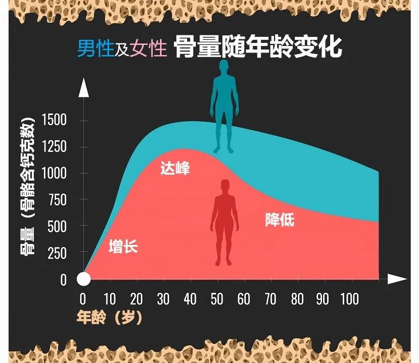 骨量随年龄增减,适当运动 jaihealth 压力够大