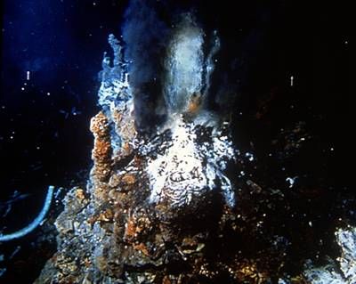 海底的热泉为某些生物提供了生存环境。