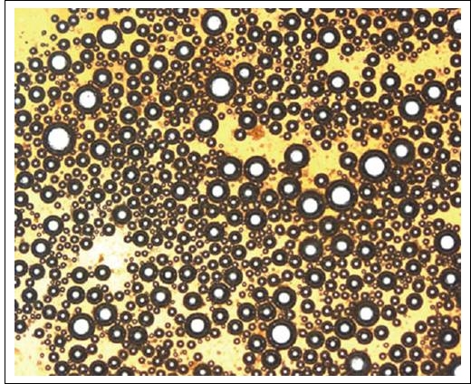 在光学显微镜下观察咖啡脂，可以看出里面包含有气泡、脂肪颗粒以及一些比如咖啡豆细胞壁碎片之类的固体颗粒（图片来自 Ernesto Illy & Luciano Navarini / Neglected Food Bubbles）