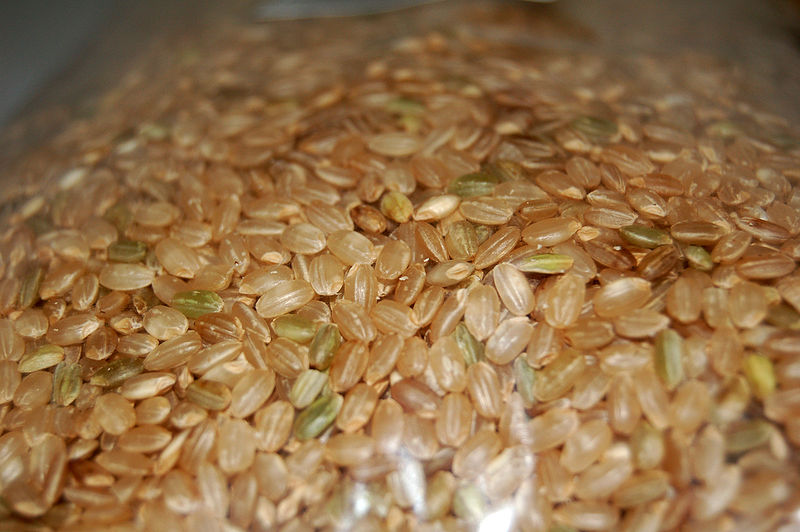 与精磨后的大米不同，糙米保留有皮层、糊粉层这样的外层组织。  图/Wiki Commons