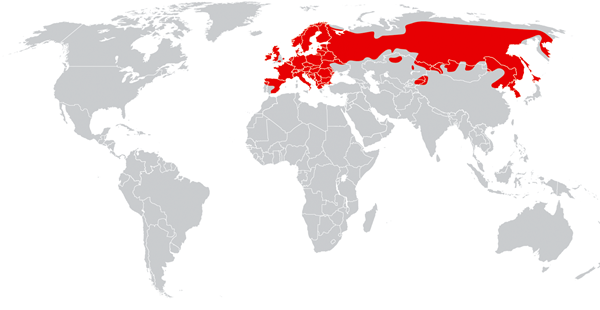 欧亚红松鼠的分布范围，虽有“红松鼠”之名，欧亚红松鼠的颜色并不都是红的。图/wiki commons