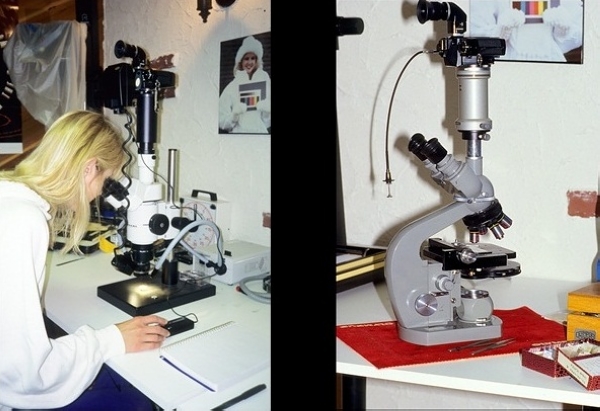 体视镜（左）和光学显微镜（右）。光学显微镜多用透射光源，观测的多是透明标本；而体视镜（解剖镜）大部分时候用上部打光，看的是不透明的、相对大的、立体的东西。