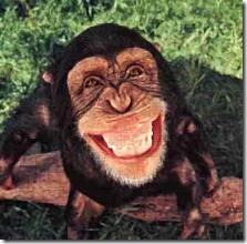 一只“星猩”在表演微笑