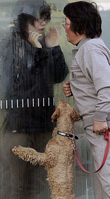 【地震特辑】劫后余生| 果壳 科技有意思