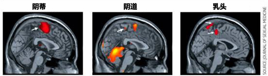 /gkimage/io/hn/8p/iohn8p.png