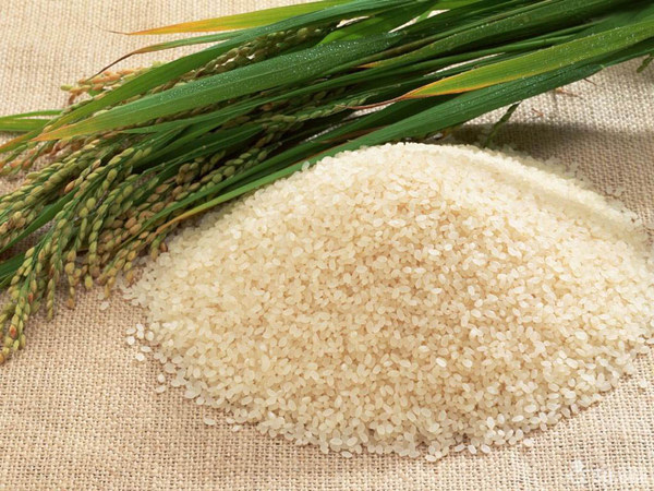 从谷物到稻米，这个过程，你或许还了解几分，但从杂草到谷物呢？图/kidnesia.com