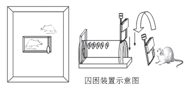 图1,实验场所示意图。来自:www.sciencemag.org SCIENCE VOL 334 9 DECEMBER 2011。