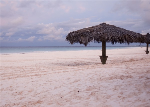 性感而又浪漫的粉红沙滩，无疑是俘获恋人芳心的最佳圣地。图：mbostock/flickr