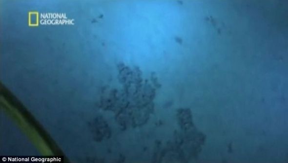 卡梅隆的深潜器在马里亚纳海沟底部拍摄到的画面，没有发现海床上有生物活动的痕迹。（来源《美国国家地理》）