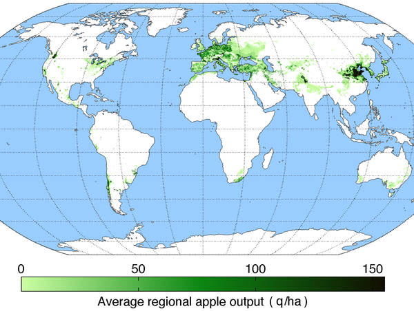 苹果的全球产量分布图 图/wiki commons