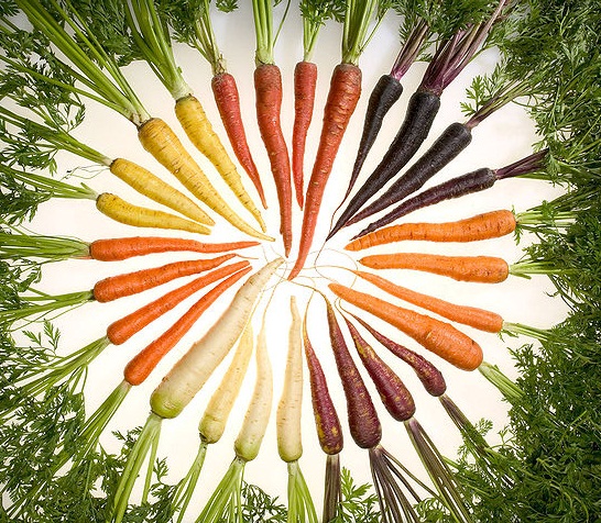 各种颜色的胡萝卜。白色和淡黄色胡萝卜β胡萝卜素含量较低，而红色或者紫色来自花青素等其他色素。市场上常见的橙色，红色和紫色胡萝卜β胡萝卜素含量相差不多。/wiki.org