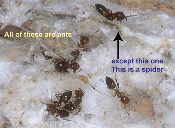 http://guokr.com/gkimage/s2/x2/9e/s2x29e.png