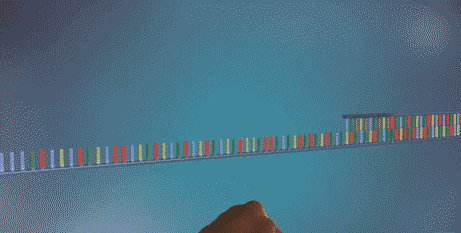 DNA复制gif图片