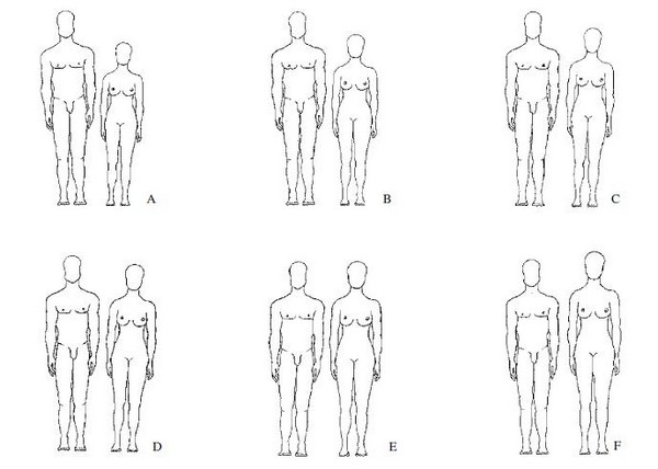 From Preferred to Actual Mate Characteristics: The Case of Human Body Shape