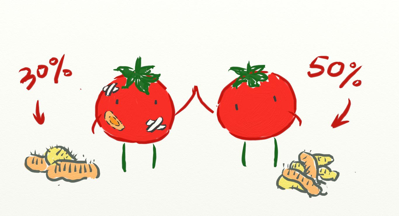 tomato5.png